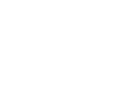 Copy of Freezoner Logo